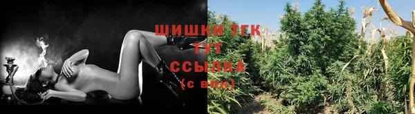крисы Надым