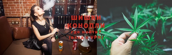 крисы Надым