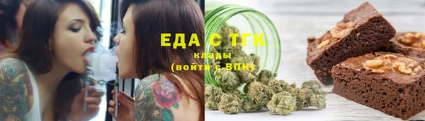 крисы Надым