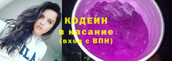крисы Надым