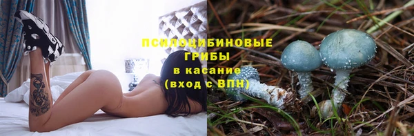 крисы Наволоки