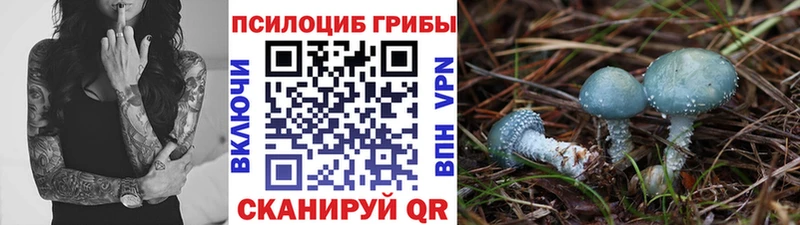 где можно купить наркотик  hydra вход  Галлюциногенные грибы GOLDEN TEACHER  Соликамск 